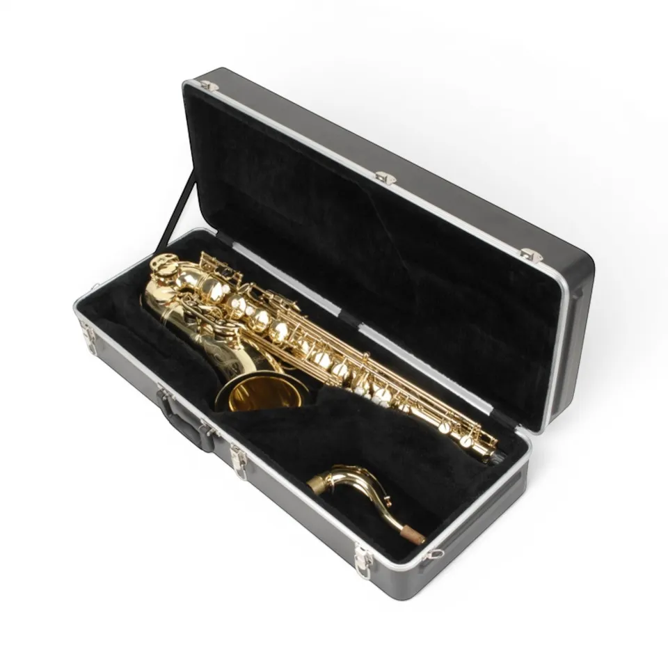 skb-iseries-tui-saxophone-t-nor-rectangulaire-noir-rigide image 1