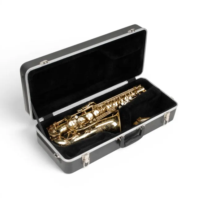 skb-iseries-tui-saxophone-alto-rigide-noir image 1